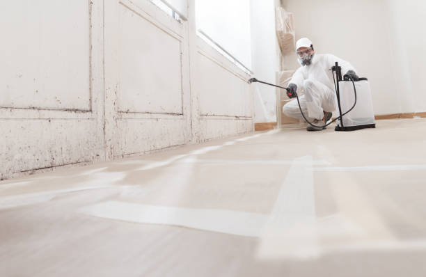 Trusted Mold Inspection service in Hershey, PA - WQB Mold Removal