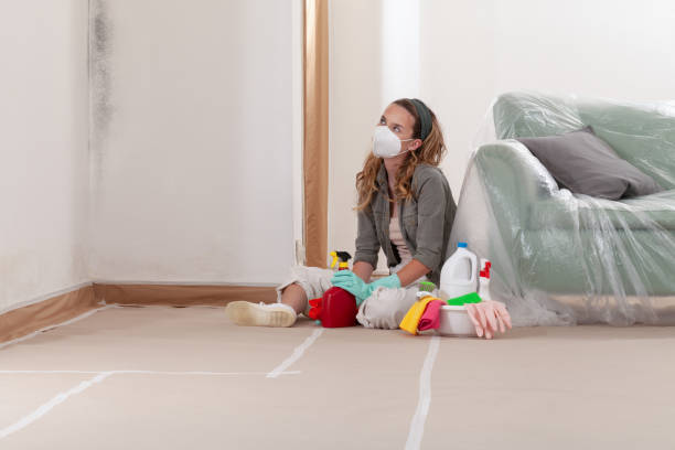 Reliable Mold Inspection contractor in Hershey, PA by WQB Mold Removal